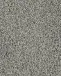 Superior Selection Textured SmartStrand Carpet
