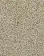 Superior Selection Textured SmartStrand Carpet