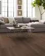 Exploration Hickory Delta 6" Hardwood