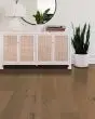 Ensemble Crema 7.5" White Oak Hardwood