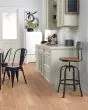 Natural Classics Red Oak 5" Hardwood