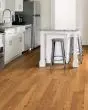 Lineage Red Oak 3" Honey Hardwood