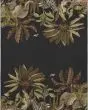 Tropics TC8 Black Area Rug