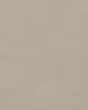 Thaddeus Taupe Matte Glazed Porcelain 24"x48" Field Tile