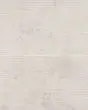Thaddeus White Matte Glazed Porcelain 24"x48" Cannatte Deco Tile