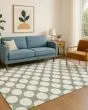 The Reserve TR13 Sage Area Rug