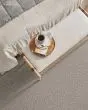 Tonal Comfort I Textured 43oz Nylon Carpet