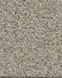 Tonal Comfort I Textured 43oz Nylon Carpet