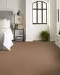 Tonal Comfort II Textured 53oz Nylon Carpet