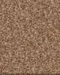Tonal Comfort II Textured 53oz Nylon Carpet