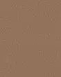 Tonal Comfort II Textured 53oz Nylon Carpet