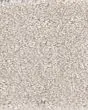 Trendy Nylon 34oz Carpet