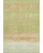 Trevi TV2 Aloe Area Rug