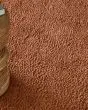 Tula 8A98F Burnt Orange Area Rug