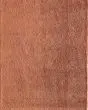 Tula 8A98F Orange Area Rug