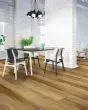 COREtec Plus Premium 9"x72" Virtue Oak Luxury Vinyl