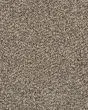 Value 42 Sandy Shore Textured Everstrand 42oz Carpet