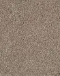 Value 42 Shoreline Textured Everstrand 42oz Carpet