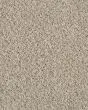Value 42 Textured Everstrand Polyester 42oz Carpet