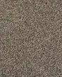 Value 60 Sandy Shore Textured Everstrand 57oz Carpet