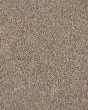 Value 60 Shoreline Textured Everstrand 57oz Carpet
