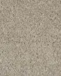 Value 60 Textured Everstrand Polyester 57oz Carpet