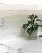 Victoria 2.0 White Ceramic Tile