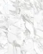 Vienna Arabescato Marble Porcelain Tile
