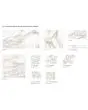 Vienna Calacatta Paonazzo Porcelain Tile