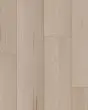 COREtec Grande Vanilla Almond Maple 9" Luxury Vinyl