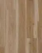 COREtec Originals Enhanced Hartley Oak Luxury Vinyl