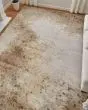 Waldor 39NCF Brown/Tan/Ivory Rug
