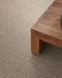 Wanderer Patterned Nylon Carpet
