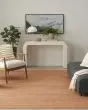 Washable Essentials WAE01 Copper Area Rug
