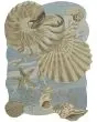 Waterside WRS01 Blue Area Rug