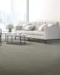 Welcome Tradition SmartStrand 49oz Carpet