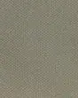 Welcome Tradition SmartStrand 49oz Carpet