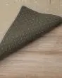 Wonderland WN4 Putty Area Rug