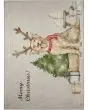 Wonderland WN8 Beige Area Rug