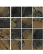 Yellowstone Polychrome Porcelain Tile
