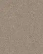 Confidence II Natural Textured Carpet