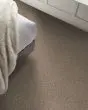 Confidence I Textured Pet Friendly 43oz Carpet