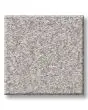 Positively Radiant II Textured 58oz Carpet