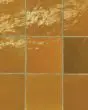 Zagora Caramel Glossy Glazed Ceramic 4x4" Field Tile
