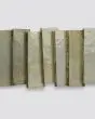 Zagora Vert Gris Glossy Glazed Ceramic 2"x6" Field Tile