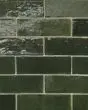 Zagora Vert Mousse Glossy Glazed Ceramic 2"x6" Field Tile