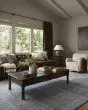 Zuma ZUM-01 Denim/Ivory Area Rug