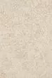 Juneau JY-03 Ant Ivory/Beige Area Rug