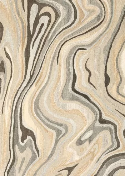 Anastasia 68007 Beige/Charcoal Area Rug