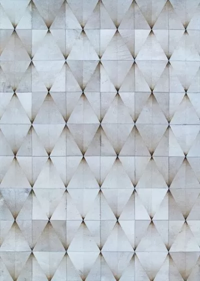 Chalet Diamondback Desert Moon Area Rug